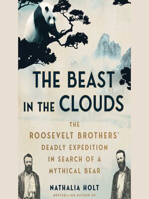 cover image of The Beast in the Clouds